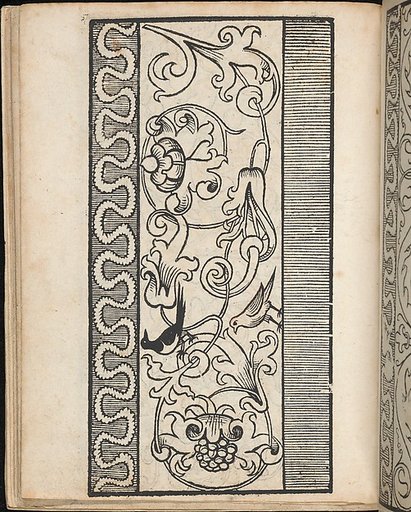 Ein new Modelbuch..., page 15 (verso)
