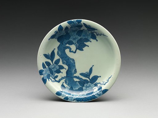 Dish