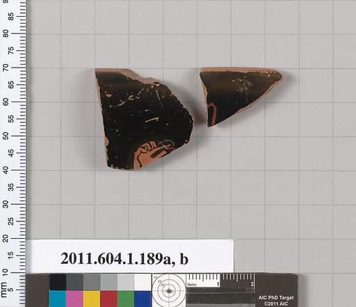 Terracotta rim fragments of a kylix (drinking cup)