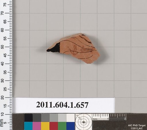 Terracotta fragment of a kylix (drinking cup)