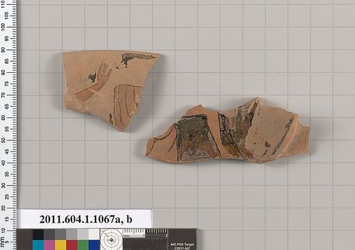 Terracotta fragments of a kylix (drinking cup)