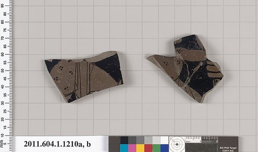 Terracotta fragments of a kylix (drinking cup)