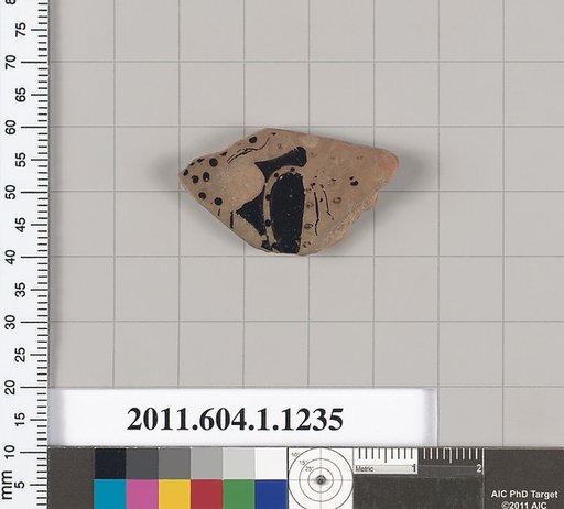 Terracotta fragment of a kylix (drinking cup)