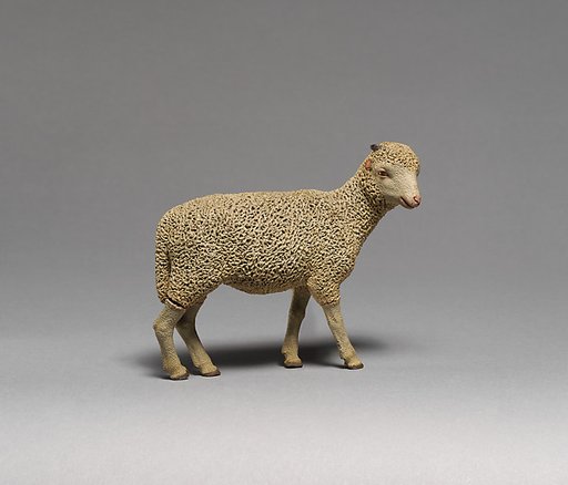Sheep