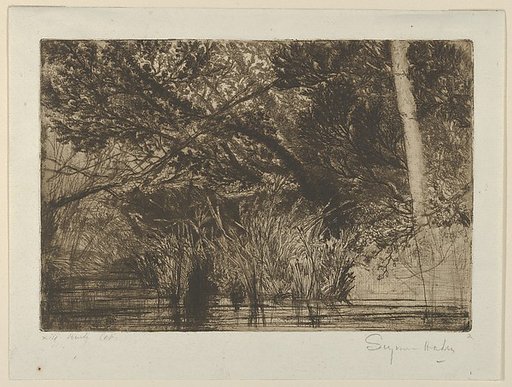 The Mouth of a Brook, No. 1