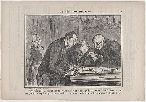 Savants au comble de la joie en contemplant le premier petit crocodile né e France..., from La Société d'Acclimatations, published in Le Charivari, October 23, 1858