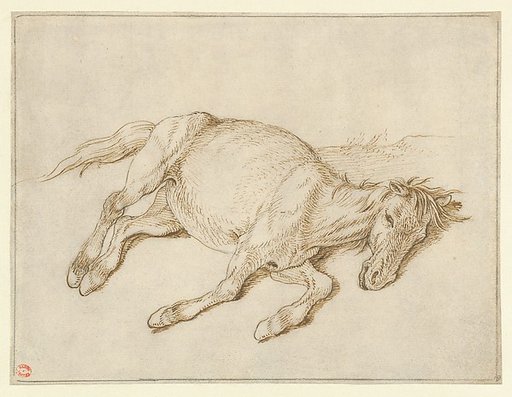A Horse Lying on its Side