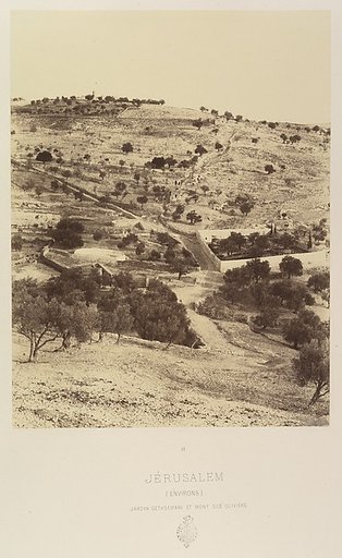 Jérusalem. (Environs) Jardin Gethsemani et Mont des Oliviers