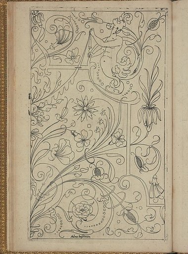 New Modelbüch (Page 21v)