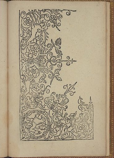 New Modelbüch (Page 31r)