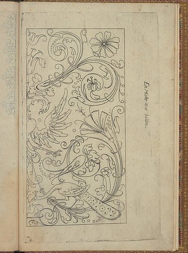 New Modelbüch (Page 46v)