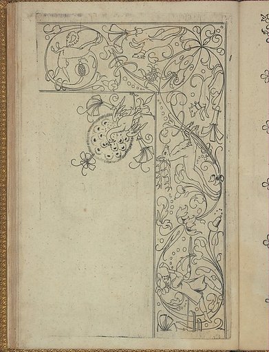New Modelbüch (Page 49r)