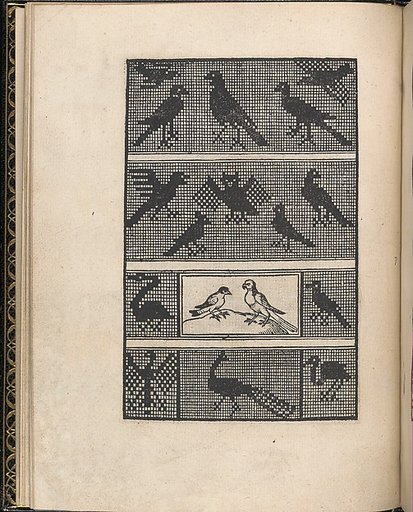 Page from Ein new kunstlich Modelbuch...(Page 7v)
