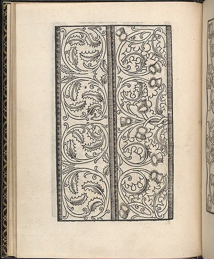 Page from Ein new kunstlich Modelbuch...(Page 14v)