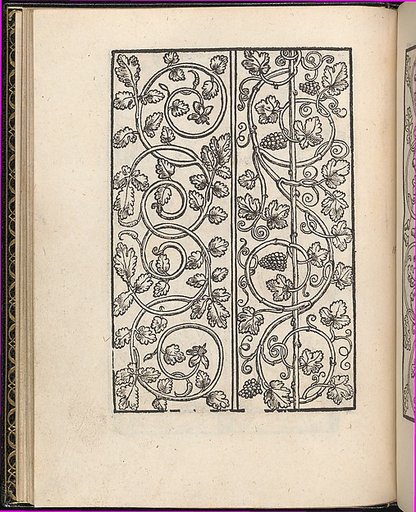 Page from Ein new kunstlich Modelbuch...(Page 15v)