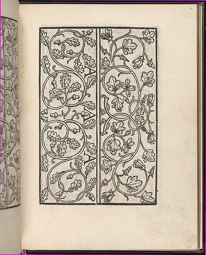Page from Ein new kunstlich Modelbuch...(Page 16r)