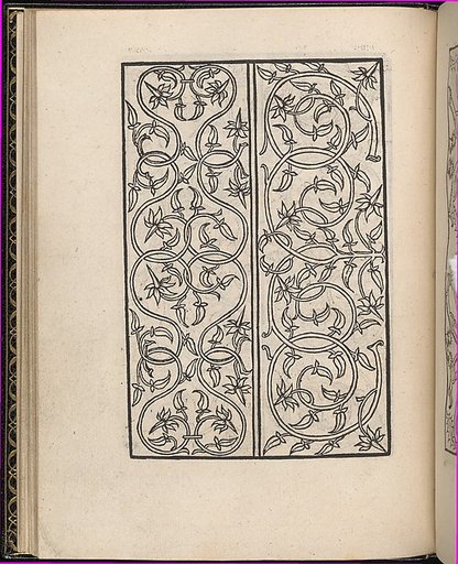 Page from Ein new kunstlich Modelbuch...(Page 16v)