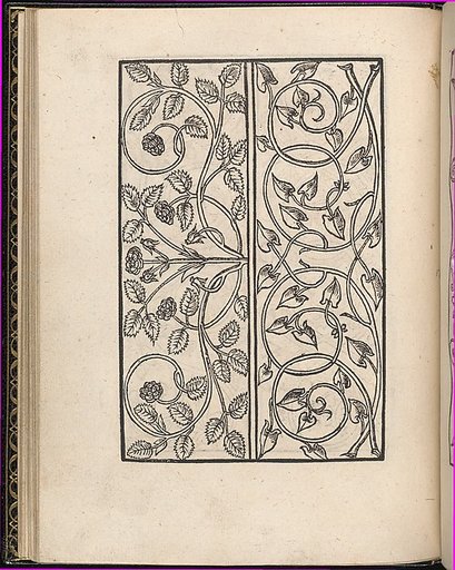 Page from Ein new kunstlich Modelbuch...(Page 17v)