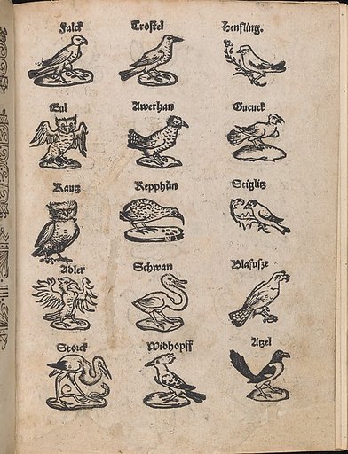 Modelbuch aller Art Nehens vn Stickens (Page 13r)