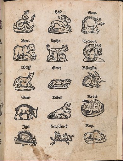 Modelbuch aller Art Nehens vn Stickens (Page 14r)