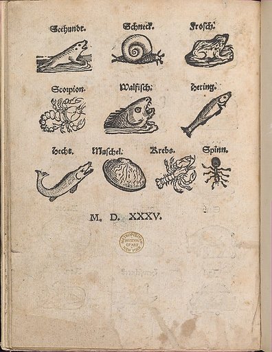 Modelbuch aller Art Nehens vn Stickens (Page 14r)