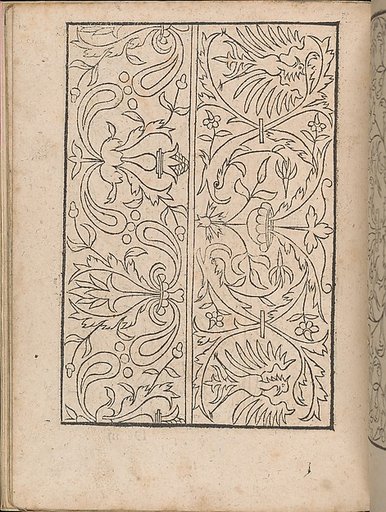 New Modelbüch allen Nägerin u. Sydenstickern (Page 15v)