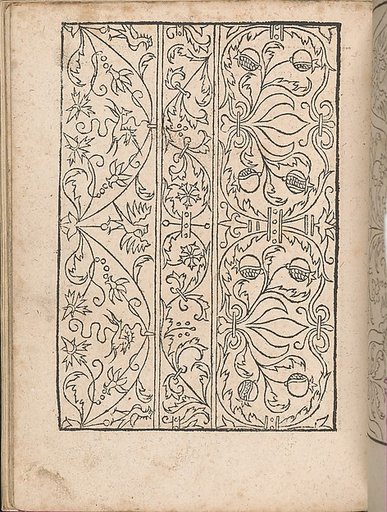 New Modelbüch allen Nägerin u. Sydenstickern (Page 17v)