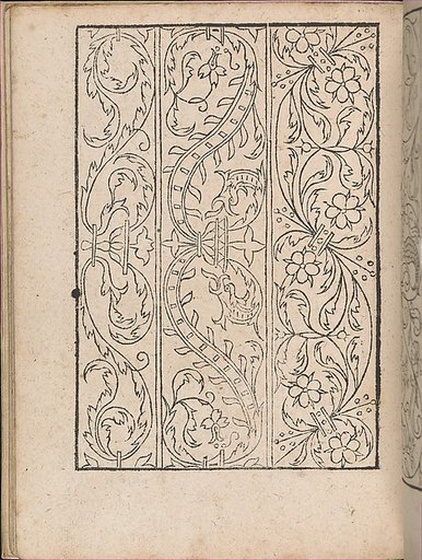 New Modelbüch allen Nägerin u. Sydenstickern (Page 19v)