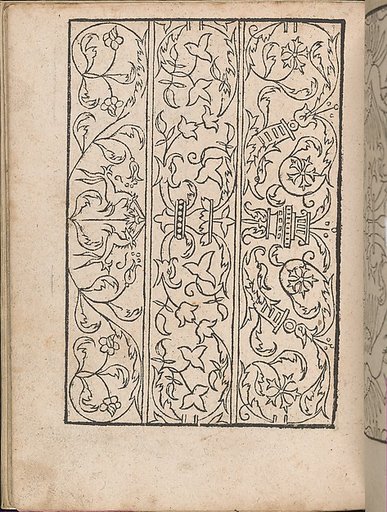 New Modelbüch allen Nägerin u. Sydenstickern (Page 21v)