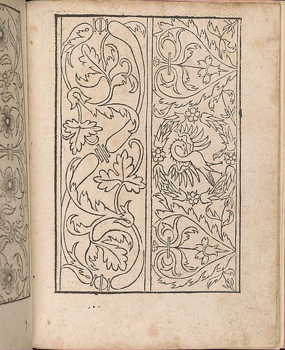 New Modelbüch allen Nägerin u. Sydenstickern (Page 24r)