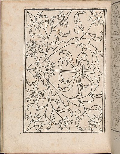 New Modelbüch allen Nägerin u. Sydenstickern (Page 25v)