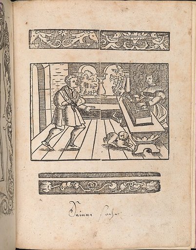 New Modelbüch allen Nägerin u. Sydenstickern (Page 28r)