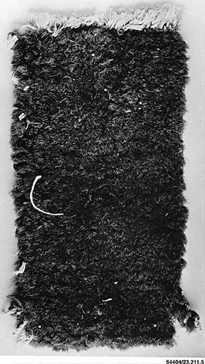 Fragment of Rug