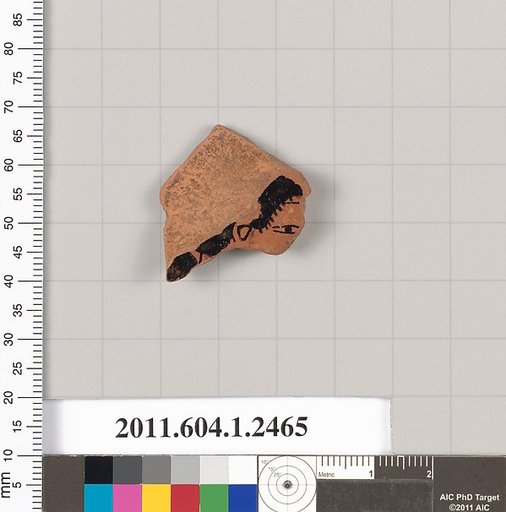 Terracotta fragment of a kylix (drinking cup)