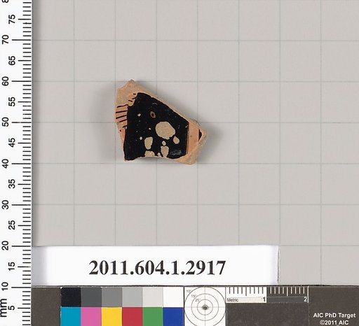 Terracotta fragment of a kylix (drinking cup)