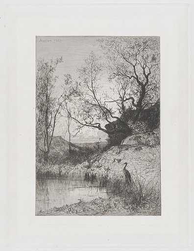 A Pond