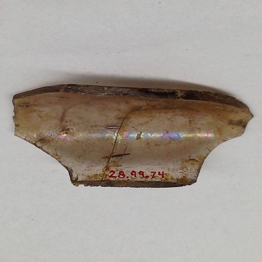 Fragment
