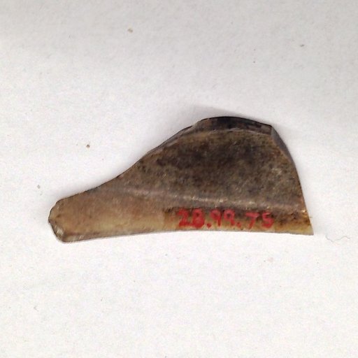 Fragment