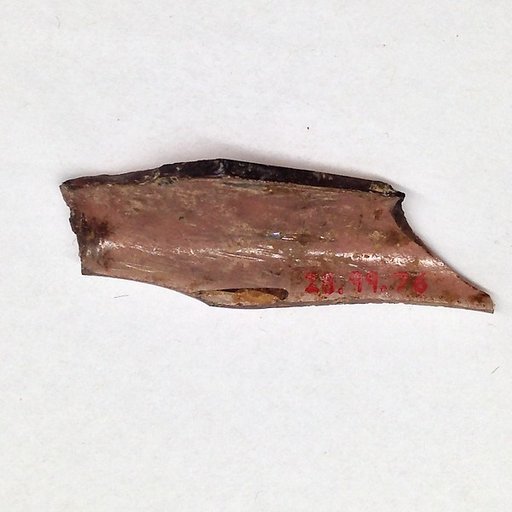 Fragment