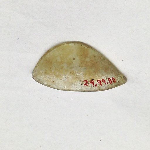 Fragment