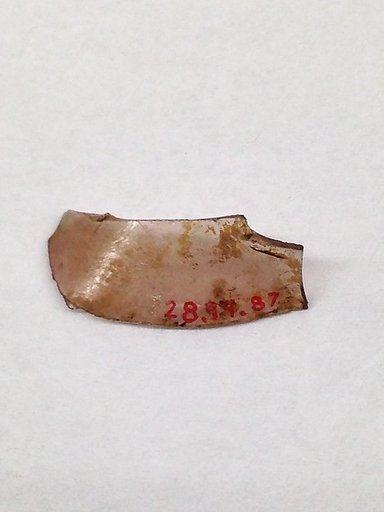 Fragment