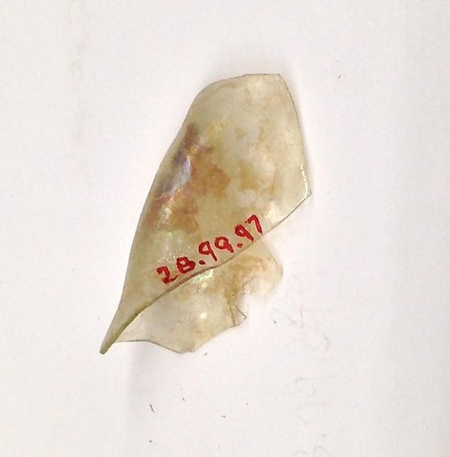 Fragment