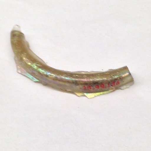 Fragment