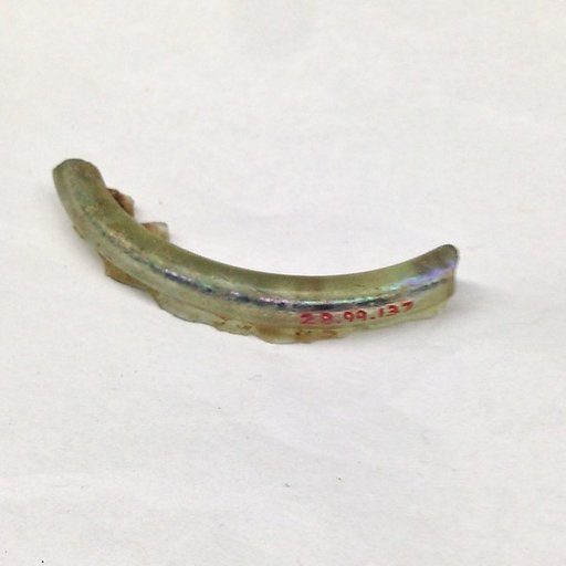 Fragment