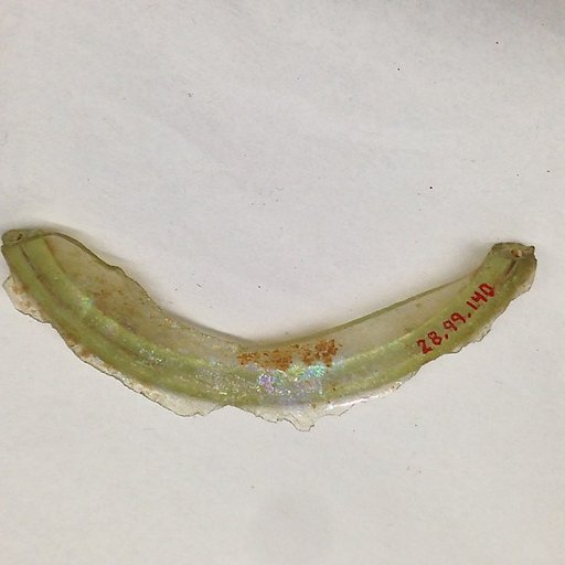 Fragment