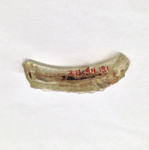 Fragment