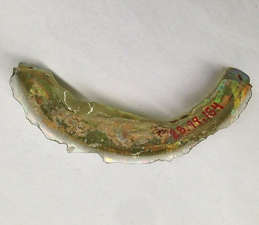 Fragment