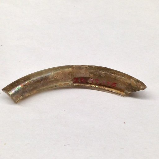 Fragment