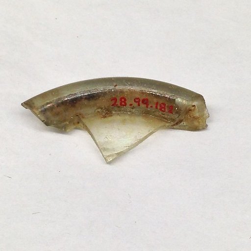 Fragment