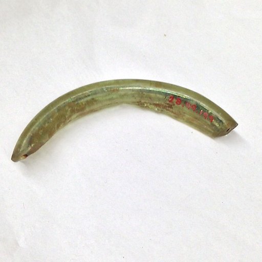 Fragment